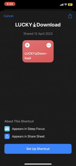 Screenshot for Apple Siri Shortcuts Lucky Downloads 1