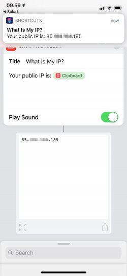 Screenshot for Apple Siri Shortcuts What Is My IP? 2