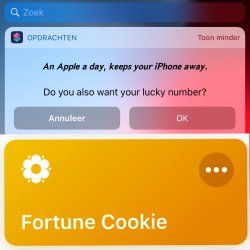 Screenshot for Apple Siri Shortcuts Fortune Cookie 1