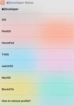 Screenshot for Apple Siri Shortcuts Developer Betas 1