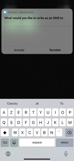 Screenshot for Apple Siri Shortcuts SMS Bomber 2