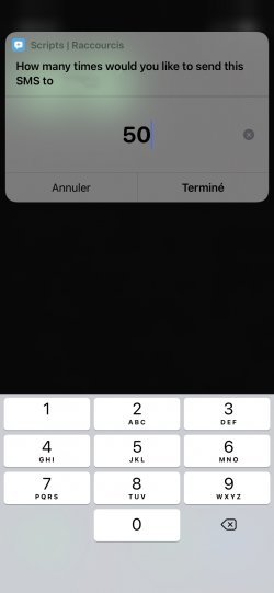 Screenshot for Apple Siri Shortcuts SMS Bomber 3