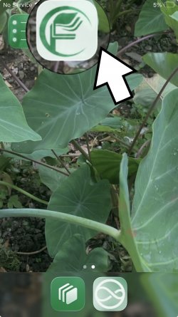 Screenshot for Apple Siri Shortcuts Fantasy Literature Media, LTD Installer 1