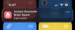 Screenshot for Apple Siri Shortcuts Instant Reminder 2