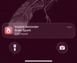 Screenshot for Apple Siri Shortcuts Instant Reminder 3