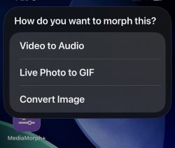 Screenshot for Apple Siri Shortcuts MediaMorph+ 1