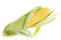 Screenshot for Apple Siri Shortcuts Corn on the bob 2