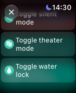 Screenshot for Apple Siri Shortcuts Watch Utiltities 2