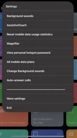 Screenshot for Apple Siri Shortcuts Settings 2