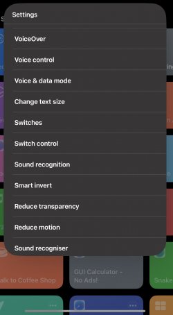 Screenshot for Apple Siri Shortcuts Settings 3