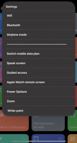 Screenshot for Apple Siri Shortcuts Settings 4