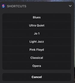 Screenshot for Apple Siri Shortcuts Music Playlists 1