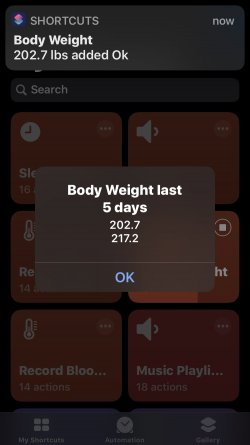 Screenshot for Apple Siri Shortcuts Record Weight 1