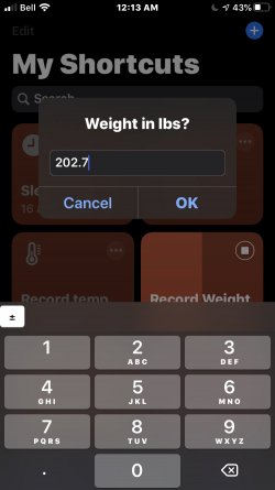 Screenshot for Apple Siri Shortcuts Record Weight 2